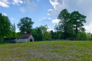2595 Henderson Mill Rd, Morganton, NC 28655 - Photo 6