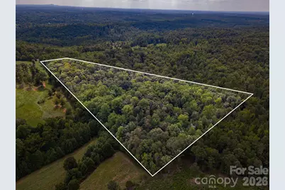 99999 Lail Road, Rutherfordton, NC 28139 - Photo 8