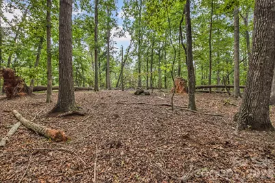 99999 Lail Road, Rutherfordton, NC 28139 - Photo 10