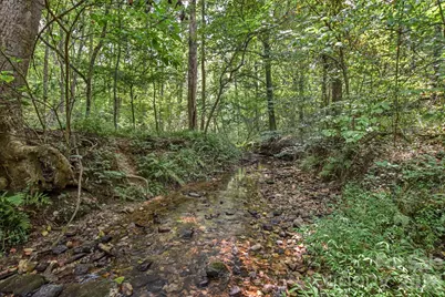 99999 Lail Road, Rutherfordton, NC 28139 - Photo 12