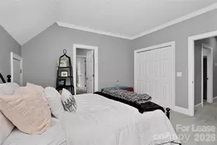 18928 Peninsula Point Dr, Cornelius, NC 28031 - Photo 30
