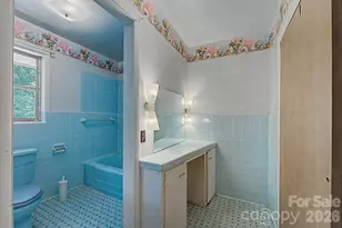 222 Mitchell Mountain Rd, Bryson City, NC 28713 - Photo 36