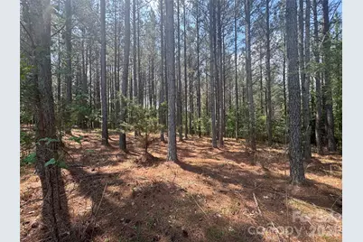 105 Stoney Brook Trail, Mooresboro, NC 28114 - Photo 10