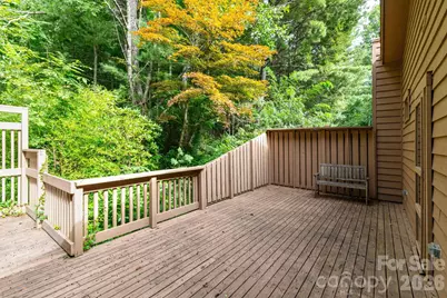 404 Buck Cove Terrace, Asheville, NC 28805 - Photo 16