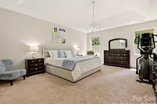 9311 Scorpio Ln, Mint Hill, NC 28227 - Photo 20
