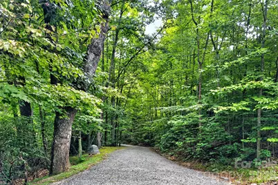 386 Wild Turkey Run, Black Mountain, NC 28711 - Photo 46
