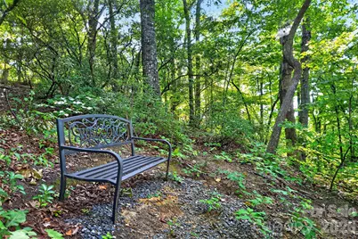 386 Wild Turkey Run, Black Mountain, NC 28711 - Photo 44