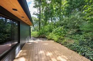 52 and 58 Teaberry Ln, Weaverville, NC 28787 - Photo 32