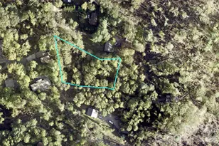52 and 58 Teaberry Ln, Weaverville, NC 28787 - Photo 48