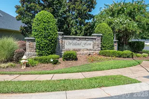 424 Planters Way, Mount Holly, NC 28120 - Photo 38