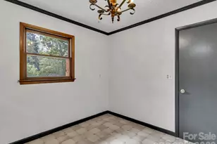 29 Colony Ln, Waynesville, NC 28786 - Photo 10