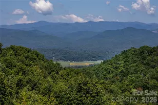 303 Wodigeasgohi Dr, Brevard, NC 28712 - Photo 4