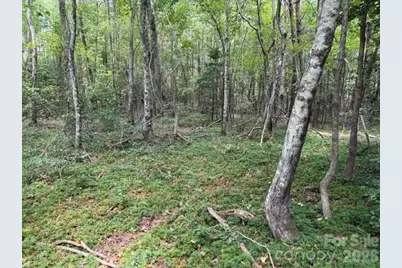 744 Old Hollis Road #12, Ellenboro, NC 28040 - Photo 6