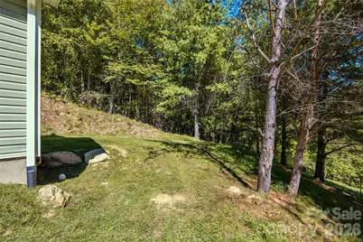 60 Spring Mountain Drive, Canton, NC 28716 - Photo 30