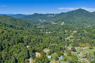 60 Spring Mountain Dr, Canton, NC 28716 - Photo 8