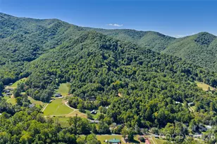 60 Spring Mountain Dr, Canton, NC 28716 - Photo 32
