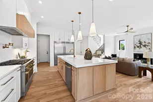 709 Bertonley Ave, Charlotte, NC 28211 - Photo 6
