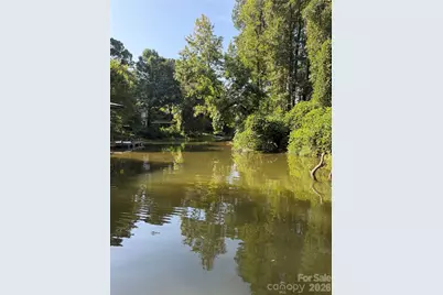 202 Horseshoe Lake Road, Mount Holly, NC 28120 - Photo 2
