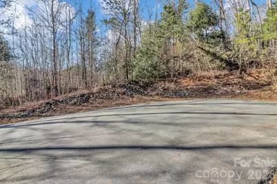 30 Pinners Cove Road, Asheville, NC 28803 - Photo 4