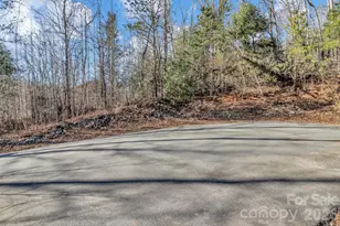 30 Pinners Cove Rd, Asheville, NC 28803 - Photo 4