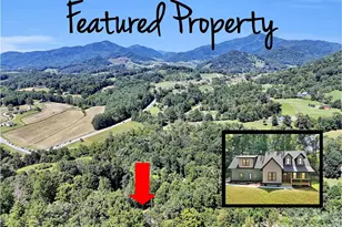146 Bradford Pk, Clyde, NC 28721 - Photo 2