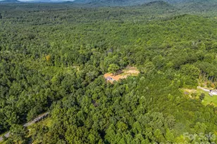 339 Bobby McKinney Rd, Union Mills, NC 28167 - Photo 34