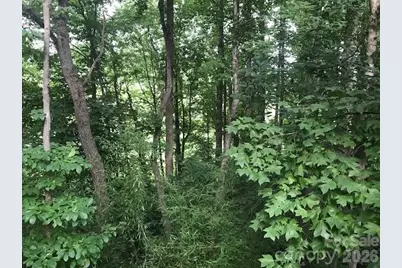 57 Sleepy Gap Road, Arden, NC 28704 - Photo 14