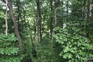 57 Sleepy Gap Rd, Arden, NC 28704 - Photo 14