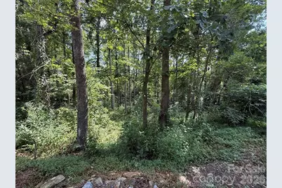 256 Burge Mountain Road, Hendersonville, NC 28792 - Photo 2