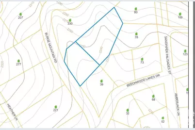 256 Burge Mountain Road, Hendersonville, NC 28792 - Photo 6