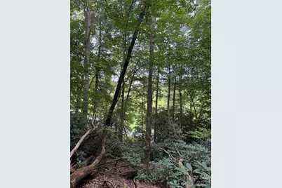 000 Wilson Road, Pisgah Forest, NC 28768 - Photo 10
