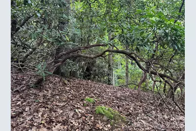 000 Wilson Road, Pisgah Forest, NC 28768 - Photo 36