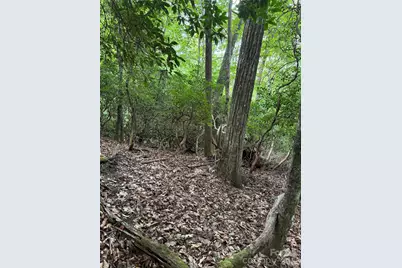 000 Wilson Road, Pisgah Forest, NC 28768 - Photo 18
