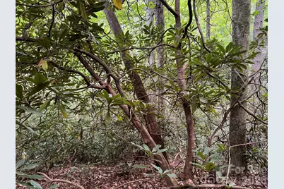 000 Wilson Road, Pisgah Forest, NC 28768 - Photo 22