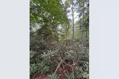 000 Wilson Road, Pisgah Forest, NC 28768 - Photo 28