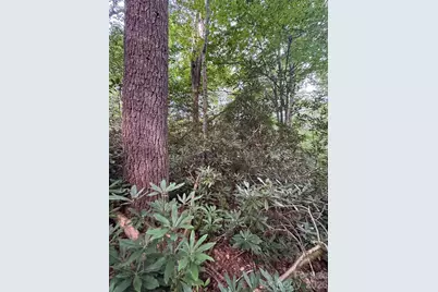 000 Wilson Road, Pisgah Forest, NC 28768 - Photo 30