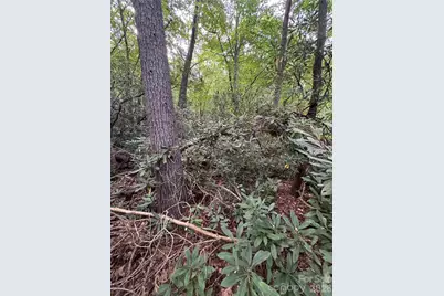 000 Wilson Road, Pisgah Forest, NC 28768 - Photo 26