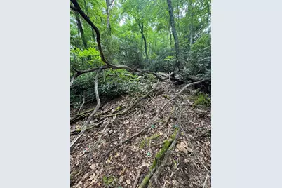 000 Wilson Road, Pisgah Forest, NC 28768 - Photo 6