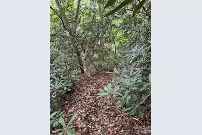 000 Wilson Road, Pisgah Forest, NC 28768 - Photo 20