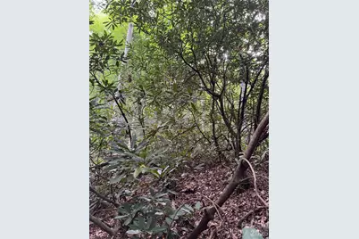 000 Wilson Road, Pisgah Forest, NC 28768 - Photo 24