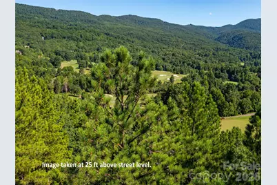 2026 Deep Gap Farm Road E, Mill Spring, NC 28756 - Photo 2