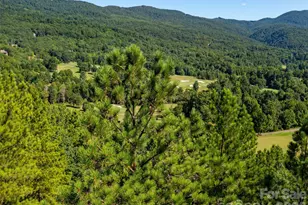 2026 Deep Gap Farm Rd E, Mill Spring, NC 28756 - Photo 26