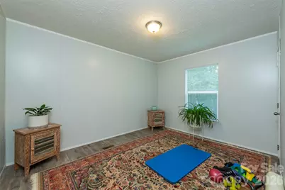 346 Tricycle Hill Lane, Tryon, NC 28782 - Photo 16