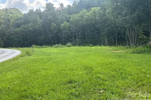 321 Bartlett Rd, Weaverville, NC 28787 - Photo 8