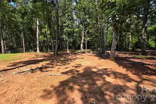 3552 Waterview Trail, Lincolnton, NC 28092 - Photo 46
