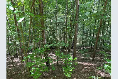 547 Stewart Rock Road, Stony Point, NC 28678 - Photo 14