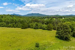 3384 US 64 Hwy, Rutherfordton, NC 28139 - Photo 44