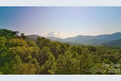 99999 Elk Mountain Ridge #12, Asheville, NC 28804 - Photo 8