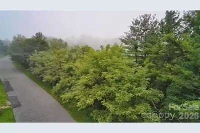 99999 Elk Mountain Ridge #12, Asheville, NC 28804 - Photo 16