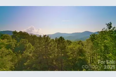 99999 Elk Mountain Ridge #12, Asheville, NC 28804 - Photo 6